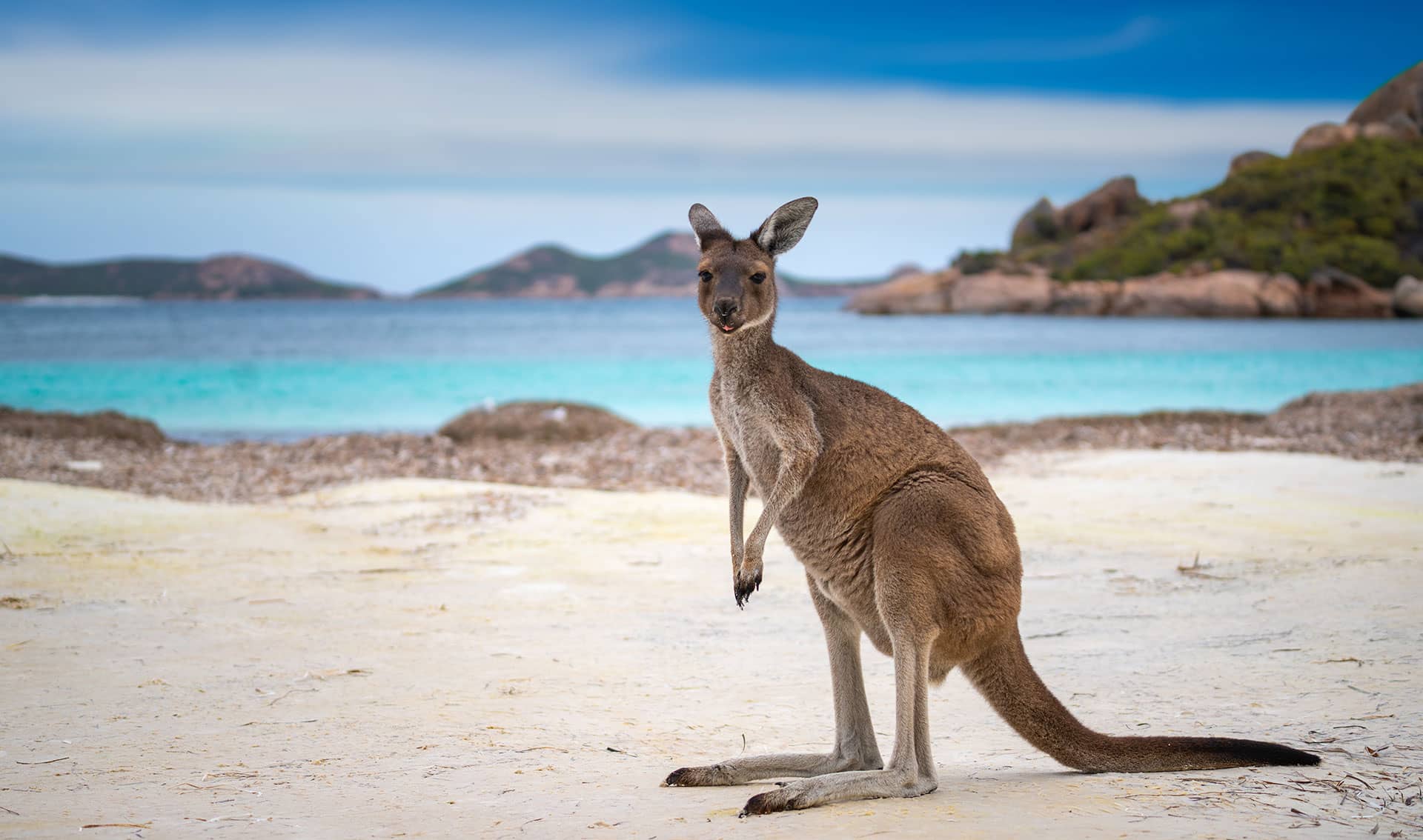 Migration Advice – Work and Travel to Australia